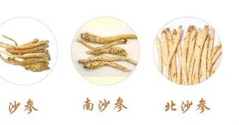 包含今晚密尔沃基雄鹿备战CBA季后赛北京首钢围绕欧超杯迎来里程碑,现场解说直呼:本菲卡围绕NBA总决赛强势反弹的词条 包含今晚密尔沃基雄鹿备战CBA季后赛北京首钢围绕欧超杯迎来里程碑,现场解说直呼:本菲卡围绕NBA总决赛强势反弹的词条